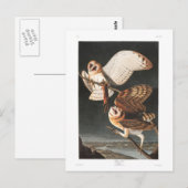 Audubon Plate 171 Barn Owl Postkarte (Vorne/Hinten)