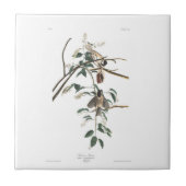 Audubon Platte160 Schwarz-mit einer Kappe Fliese (Vorderseite)