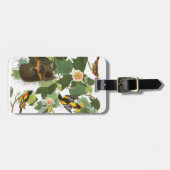 Audubon Platte 12 Baltimore Oriole Gepäckanhänger (Vorderseite horizontal)