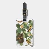 Audubon Platte 12 Baltimore Oriole Gepäckanhänger (Vorderseite vertikal)