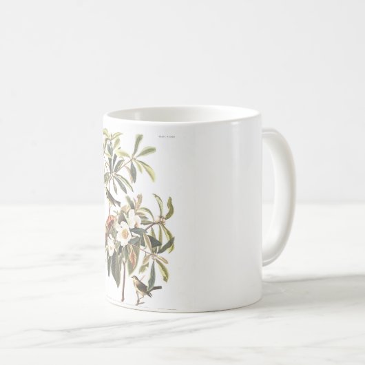 Audubon Platte 185 Bachmans Trällerer Kaffeetasse (VorderseiteRechts)