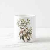 Audubon Platte 185 Bachmans Trällerer Kaffeetasse (Mittel)