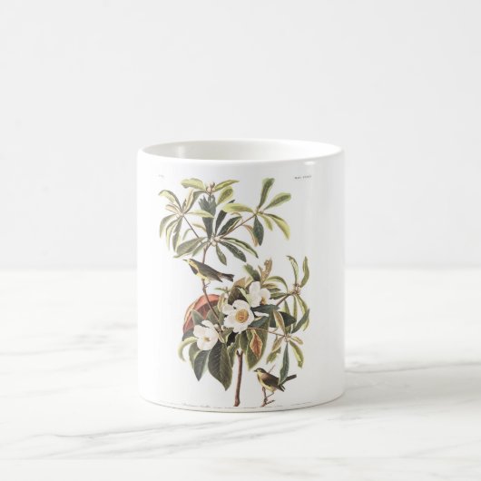Audubon Platte 185 Bachmans Trällerer Kaffeetasse (Mittel)