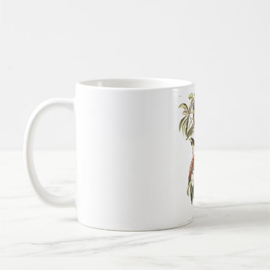 Audubon Platte 185 Bachmans Trällerer Kaffeetasse (Links)