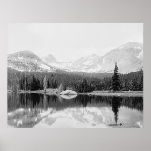 Audubon Poster (Vorne)