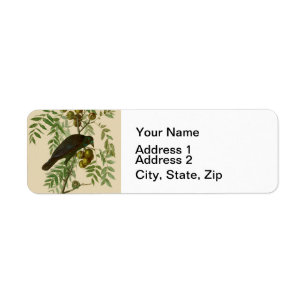 Audubon Purple Grackle Vogel Druck Vintage Botanik