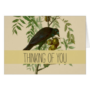 Audubon Purple Grackle Vogel Druck Vintage Botanik