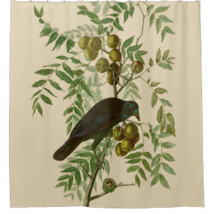 Audubon Purple Grackle Vogel Druck Vintage Botanik Duschvorhang