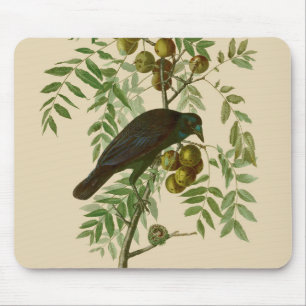 Audubon Purple Grackle Vogel Druck Vintage Botanik Mousepad