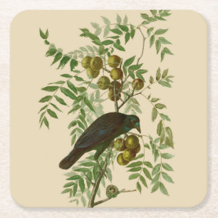 Audubon Purple Grackle Vogel Druck Vintage Botanik Rechteckiger Pappuntersetzer