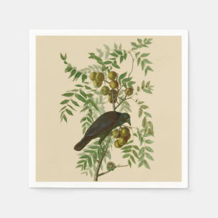 Audubon Purple Grackle Vogel Druck Vintage Botanik Serviette