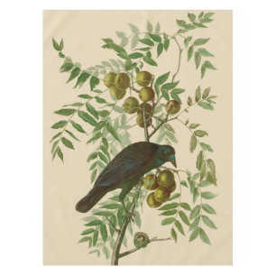 Audubon Purple Grackle Vogel Druck Vintage Botanik Tischdecke