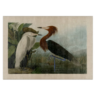 Audubon Purpurreiher Rötlicher Sichler Druck: Voge Schneidebrett
