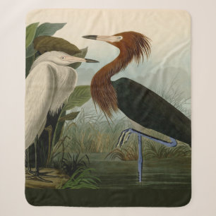 Audubon Purpurreiher Rötlicher Sichler Druck: Voge Sherpadecke