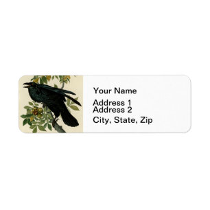Audubon Raven Bird Classic Artwork