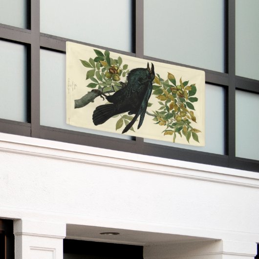 Audubon Raven Bird Classic Artwork Banner (Äußeres Gebäude)