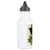 Audubon Raven Bird Classic Artwork Edelstahlflasche (Links)