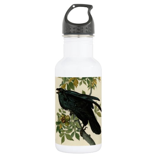 Audubon Raven Bird Classic Artwork Edelstahlflasche (Vorderseite)