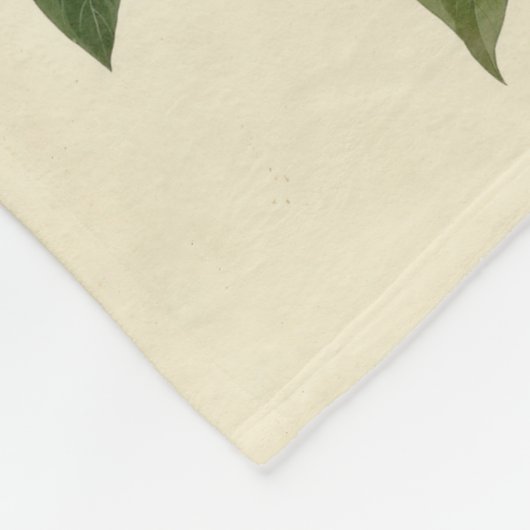 Audubon Raven Bird Classic Artwork Fleecedecke (Ecke)