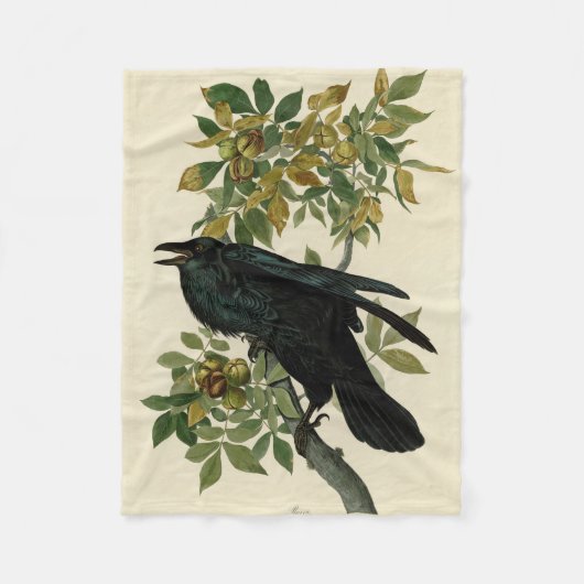 Audubon Raven Bird Classic Artwork Fleecedecke (Vorderseite)