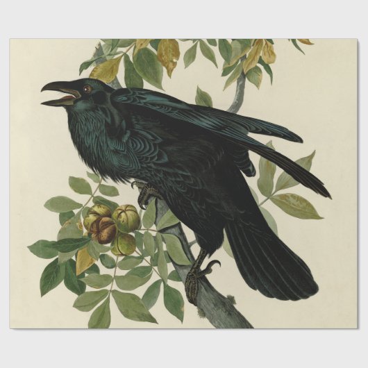 Audubon Raven Bird Classic Artwork Geschenkpapier (Flach)