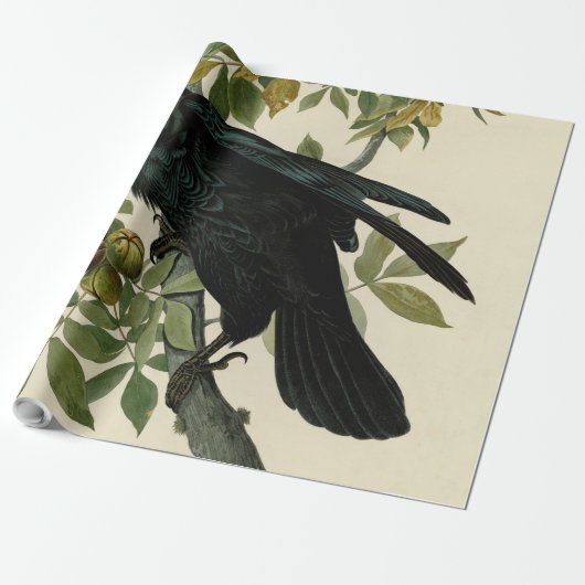 Audubon Raven Bird Classic Artwork Geschenkpapier (Ungerollt)