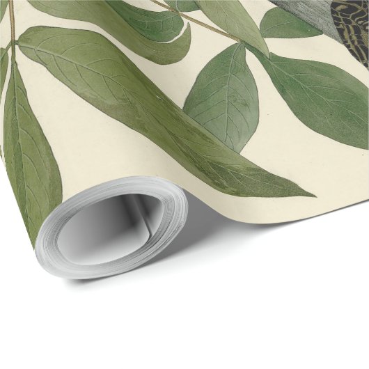 Audubon Raven Bird Classic Artwork Geschenkpapier (Rolleneckpunkt)