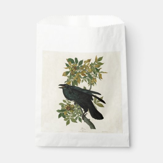 Audubon Raven Bird Classic Artwork Geschenktütchen (Vorderseite)