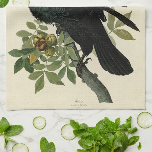 Audubon Raven Bird Classic Artwork Geschirrtuch (Gefaltet)