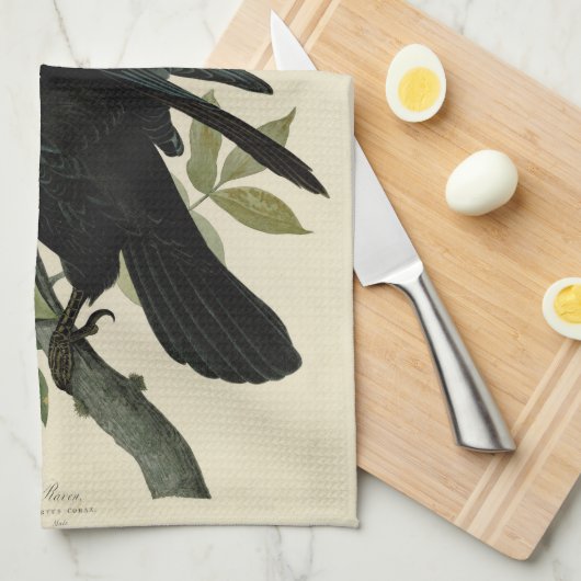 Audubon Raven Bird Classic Artwork Geschirrtuch (Viertel Falte)