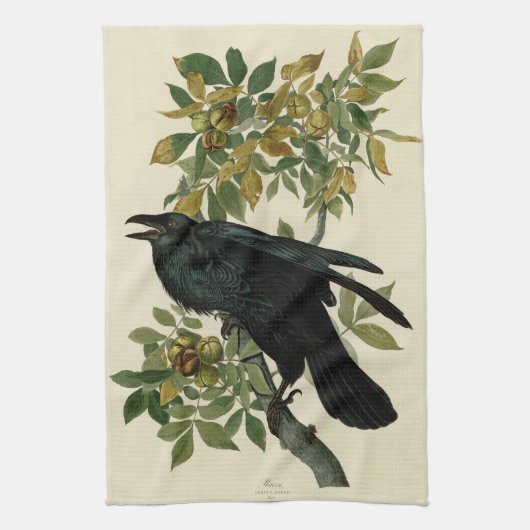 Audubon Raven Bird Classic Artwork Geschirrtuch (Vertikal)