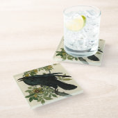 Audubon Raven Bird Classic Artwork Glasuntersetzer (Schrägansicht)