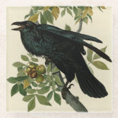 Audubon Raven Bird Classic Artwork Glasuntersetzer (Vorderseite)