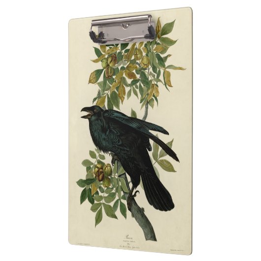 Audubon Raven Bird Classic Artwork Klemmbrett (Links)