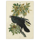 Audubon Raven Bird Classic Artwork Klemmbrett (Rückseite)