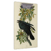 Audubon Raven Bird Classic Artwork Klemmbrett (Rechts)