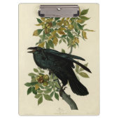 Audubon Raven Bird Classic Artwork Klemmbrett (Vorderseite)
