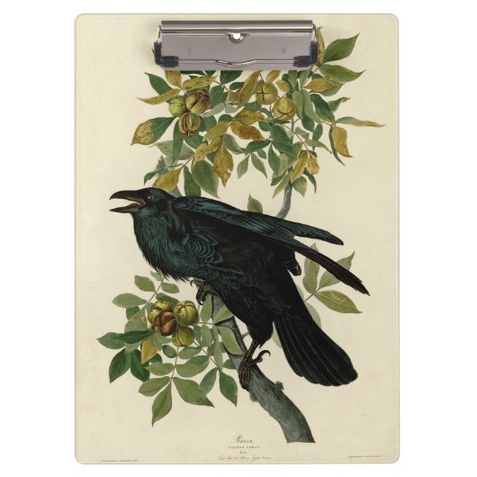 Audubon Raven Bird Classic Artwork Klemmbrett (Vorderseite)