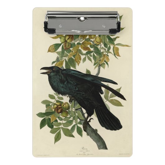 Audubon Raven Bird Classic Artwork Mini Klemmbrett (Vorderseite)