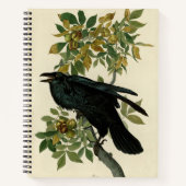 Audubon Raven Bird Classic Artwork Notizblock (Vorderseite)