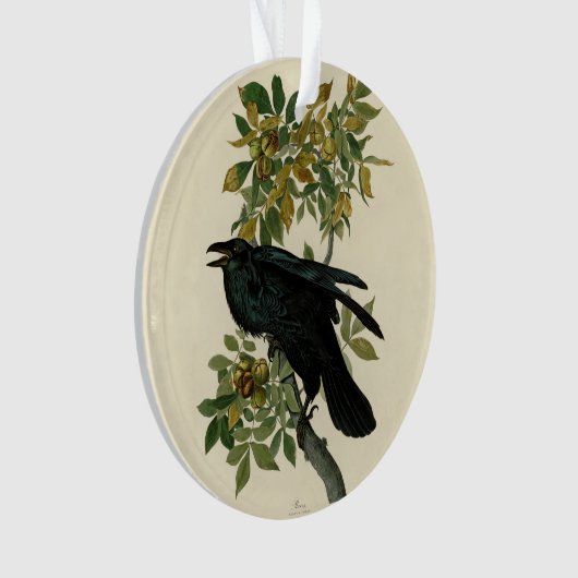 Audubon Raven Bird Classic Artwork Ornament (Vorderseite)