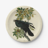 Audubon Raven Bird Classic Artwork Pappteller (Vorderseite)