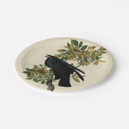 Audubon Raven Bird Classic Artwork Pappteller (Schrägansicht)