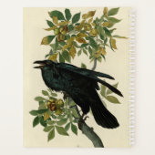 Audubon Raven Bird Classic Artwork Planer (Rückseite)