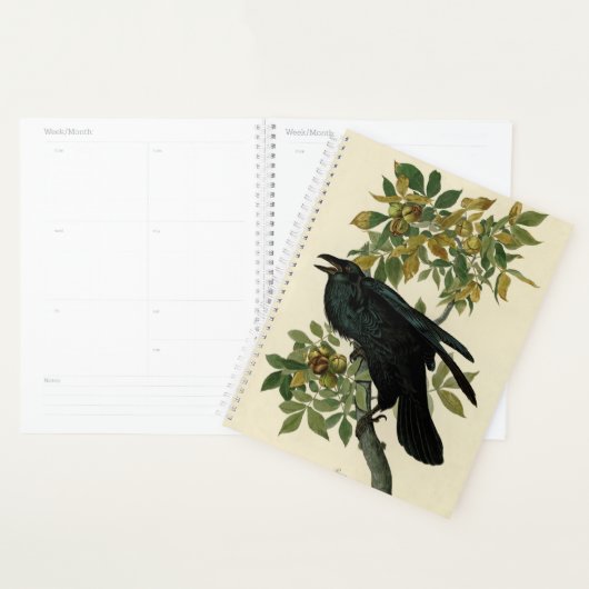 Audubon Raven Bird Classic Artwork Planer (Anzeige)