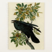 Audubon Raven Bird Classic Artwork Planer (Vorderseite)