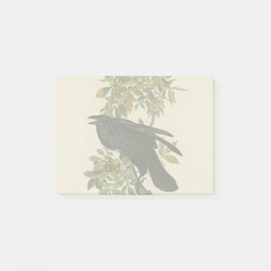 Audubon Raven Bird Classic Artwork Post-it Klebezettel (Vorderseite)