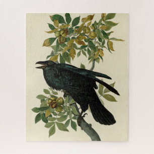 Audubon Raven Bird Classic Artwork Puzzle