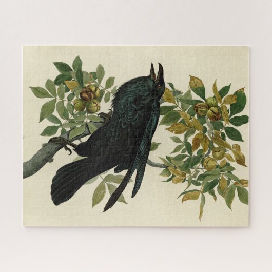 Audubon Raven Bird Classic Artwork Puzzle (Horizontal)