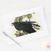 Audubon Raven Bird Classic Artwork Rechteckiger Aufkleber (Umschlag)